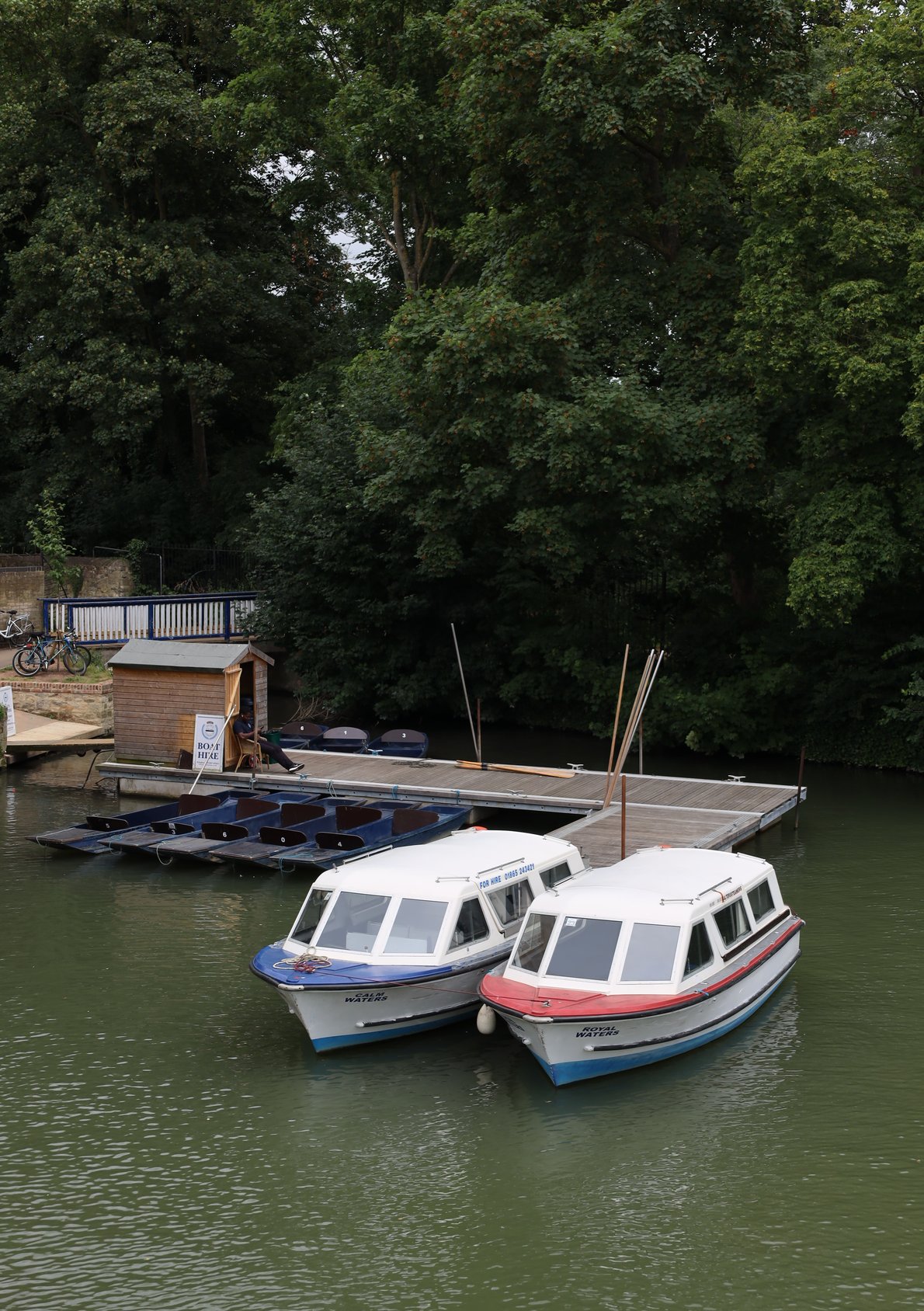 Peaceful rowing on the Thames near Oxford